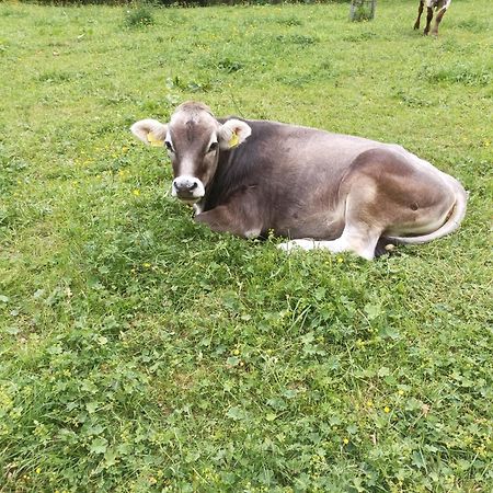 Ferienwohnung Hartlgut Bad Hofgastein Kültér fotó