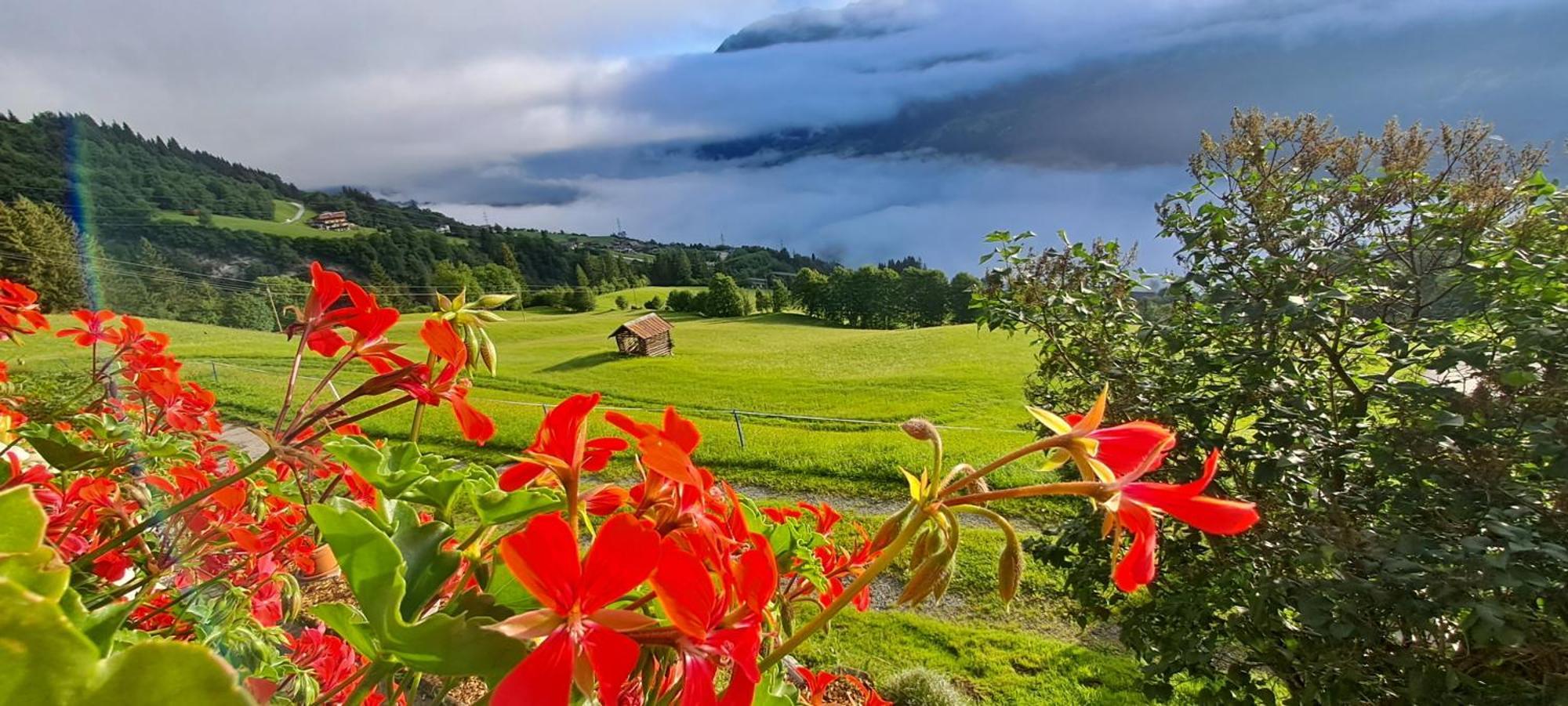 Ferienwohnung Hartlgut Bad Hofgastein Kültér fotó